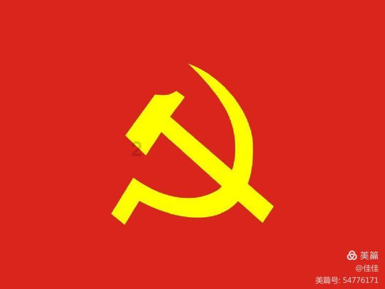 小猫钓鱼正版下载中文版